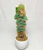 Monstera Dubia Shingle Plant - Live Plant in a 4 Inch Pot - Monstera Dubia - Extremely Rare and Beautiful Vining Indoor Houseplant - Air Purifying
